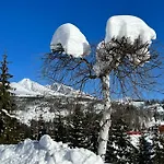 Botka Apartman, Appartement *
