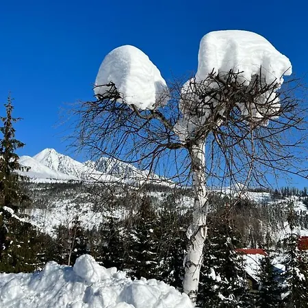 Botka Apartman, Lejlighed *